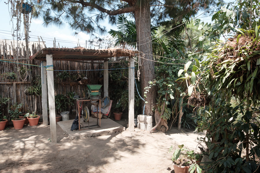 The yard, back at Mercedes&rsquo; home at the foot of the volcano.