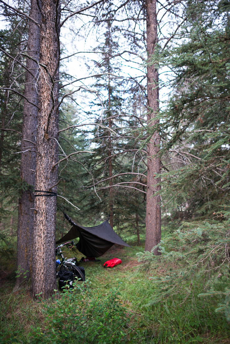 In the waning twilight, my first night in the mountains was spent scrambling to find and establish a wild camp in the woods. The views on my first 20km down the Icefields Parkway to this little stand of trees were spectacular: at one point there was a brilliant rainbow against the already scenic mountain road at sunset, a rushing river to the left, and four elk crossing directly in front of me. But I didn&rsquo;t have the luxury to stop and take any pictures, because I needed to find a place to sleep. This turned out to a bit of a theme on this whole trip: so much energy was spent on survival essentials that there wasn&rsquo;t much left for photos and writing. Then again, there never seems to be enough energy and time.