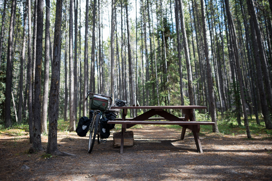 This particular campsite was the first real point of familiar territory for me on this tour. One year prior I had spent time here with my lady love on our way to Alaska. Amidst these trees, memories came flooding back and homesickness hit me hard. Here I was, alone this time, and desperately missing those whom I love.