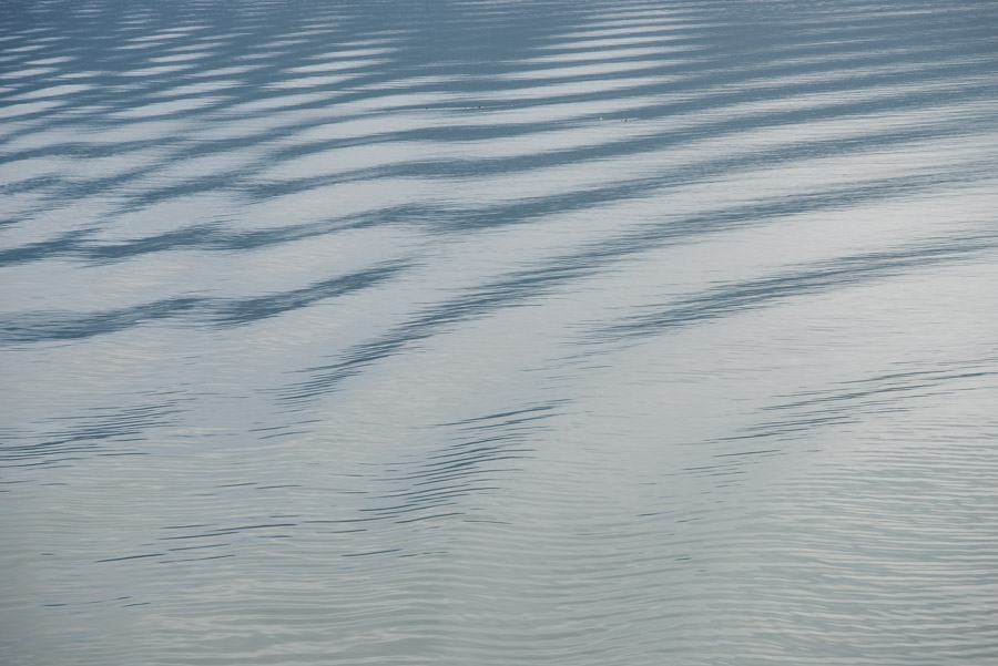 Ripples on calm ocean water. The Hecate Strait is notoriously rough but, just as my time in the Haida Gwaii seemingly defied its reputation to be wet, the weather was unexpectedly favourable on the return crossing.