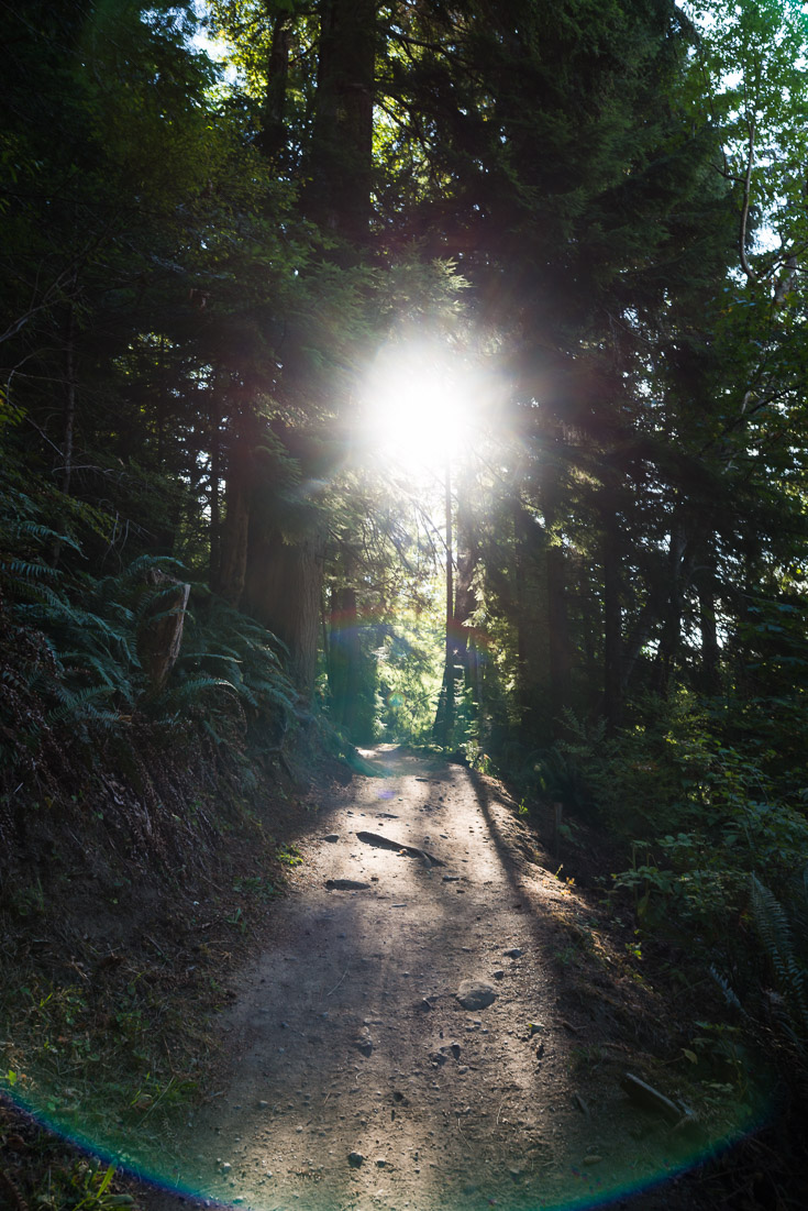 &hellip;and then retreating to the wilderness&hellip;