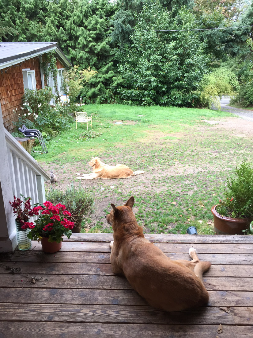 &hellip;which only amplified the gratitude I had for friends who opened their doors to me on my way south.