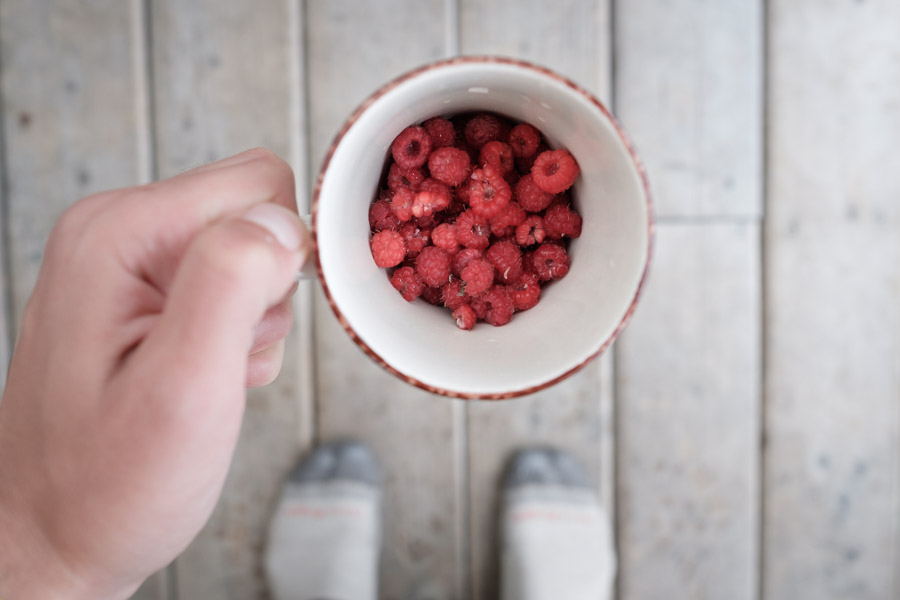 Newfoundland is not known for its vegetables. Salads are few and far between here, but fresh berries are plentiful for any who care to look for them.