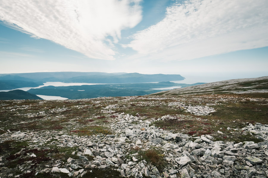Getting up on to the rolling tops of the Long Range Mountains, the sensitive ecosystem continues to bear striking similarities to the tundra even more so with elevation.