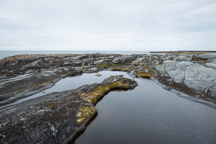 Freshwater pools reflect a grey sky amongst the bedrock edge of the Hudson Bay.