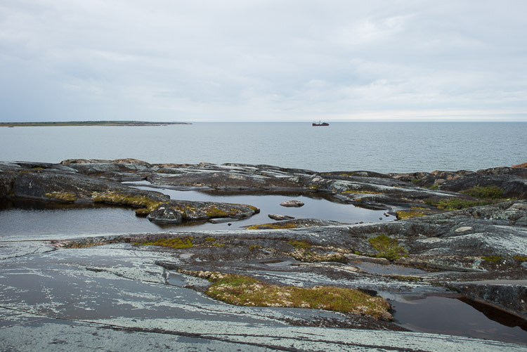 In the distance the SS Ithaca lies in its final resting place 750 meters off the coast. This shipwreck dates back to 1960 when it encountered a storm on its way back north to Rankin Inlet to transport nickel from its mine. The captain turned back for the shelter of Churchill&rsquo;s port but the weather was so bad he decided to drop anchor and try to wait out the weather. The anchor chain broke, the rudder was beaten off, and with no control left she was pushed to where she still sits today.