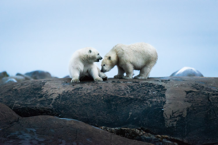 A sibling bond.