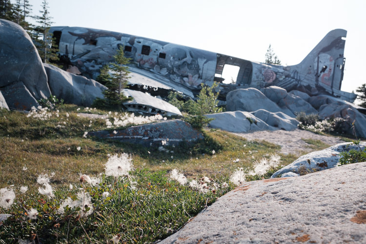 Even Miss Piggy - a plane wreck not too far from the town of Churchill - received its first paint job since being grounded in 1979. Fluffy, late season White Mountain Avens dot the landscape’s foreground as a short summer rolls onward to autumn.