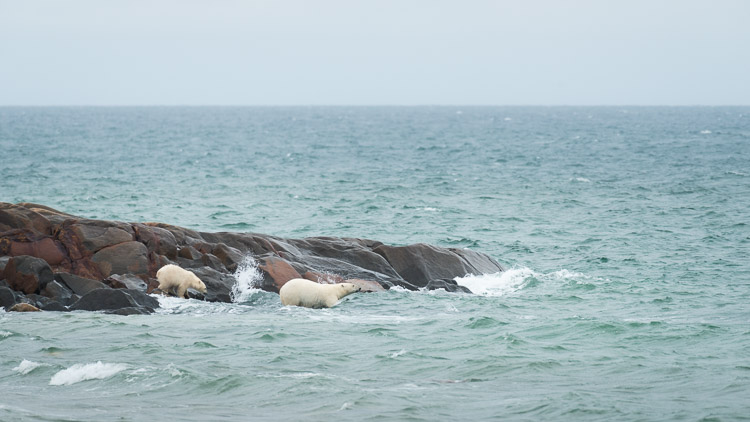 …like swimming.