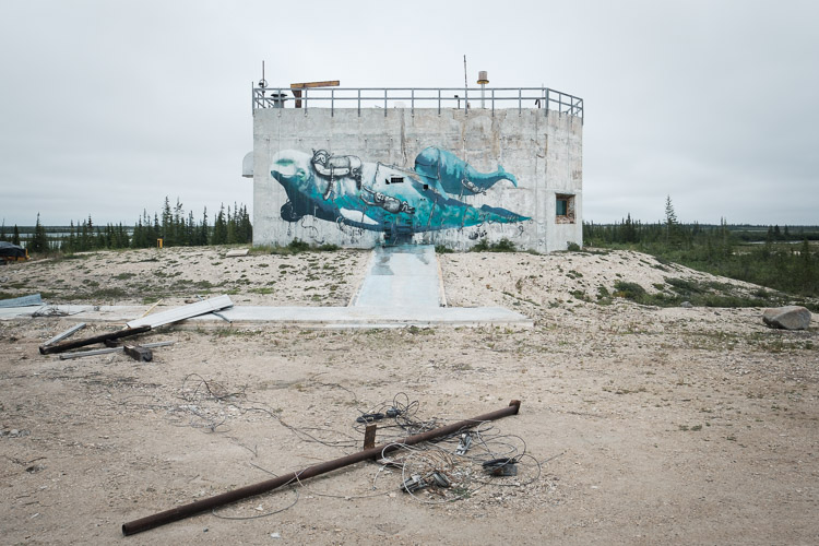 Painted belugas at the abandoned rocket range…