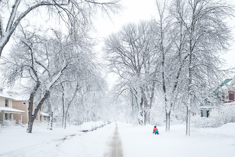 A child plays on the snowy streetside, rolling a large snowball that&rsquo;s sure to be the base of a memorable snowman.